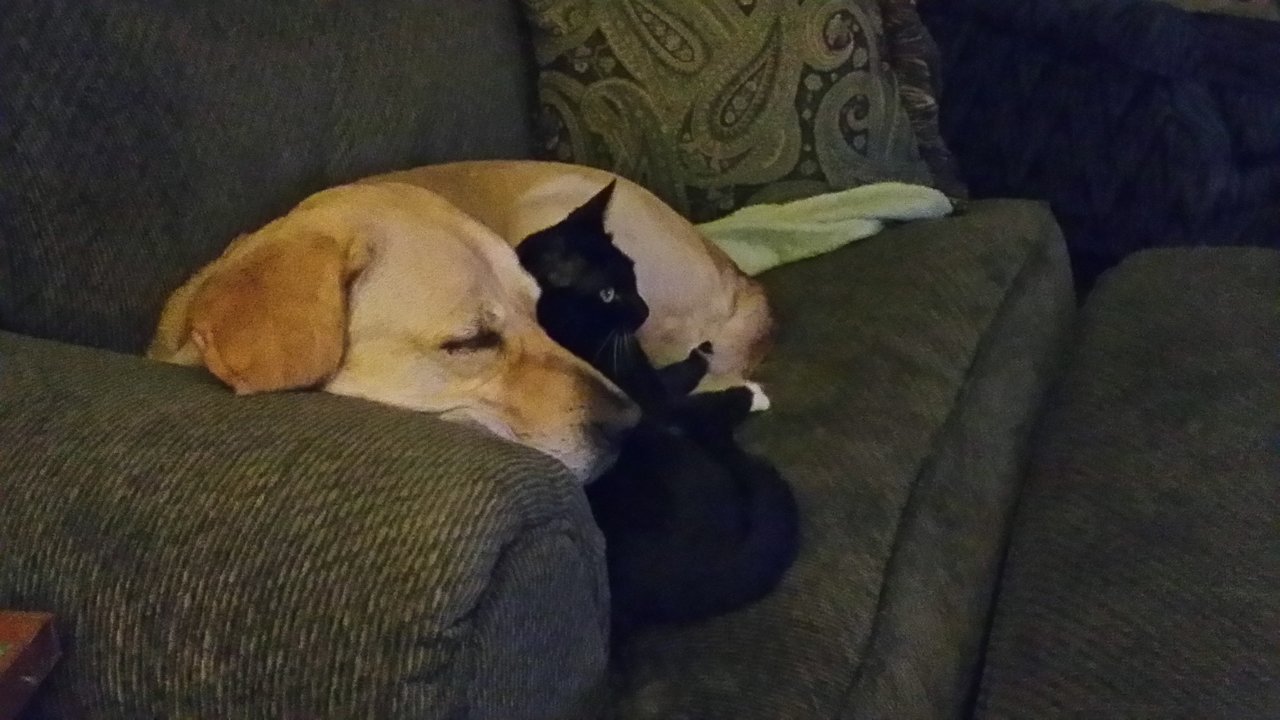 20150925_210006.jpg