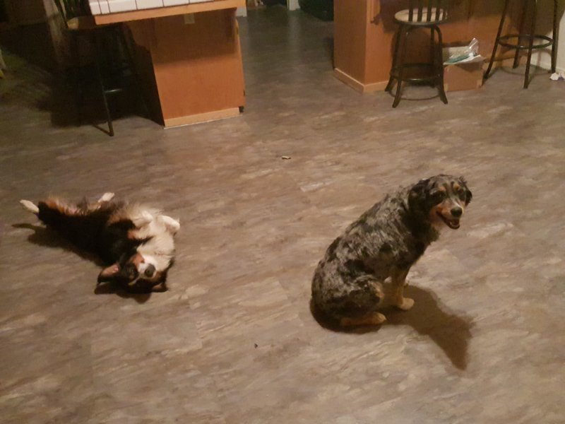 20150928_211209.jpg