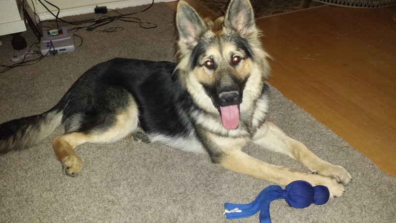 20150929_214047.jpg