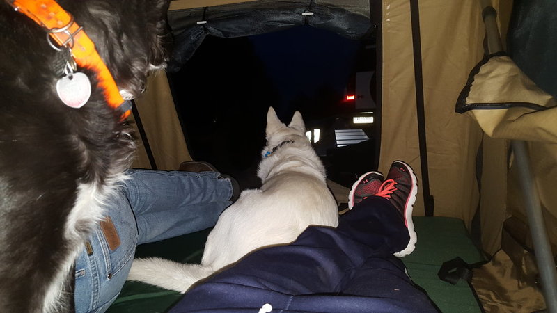 20150930_191027.jpg