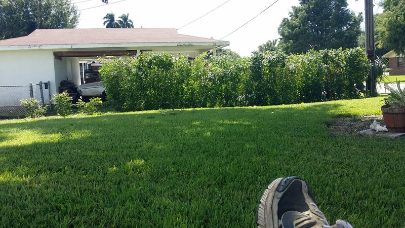 20151003_134606.jpg