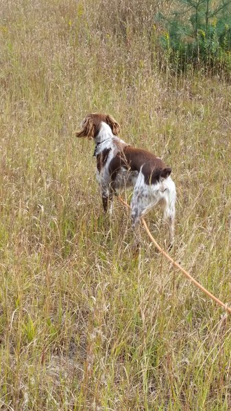 20151004_104902.jpg