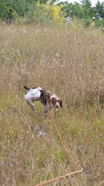 20151004_104916.jpg