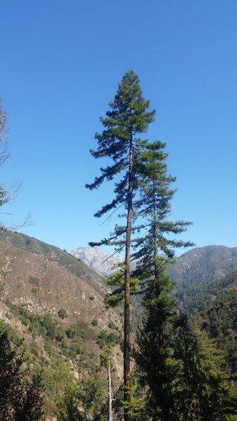 20151010_122226.jpg