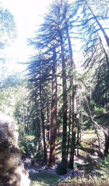 20151010_124941.jpg