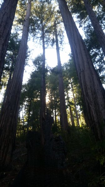 20151010_143022.jpg