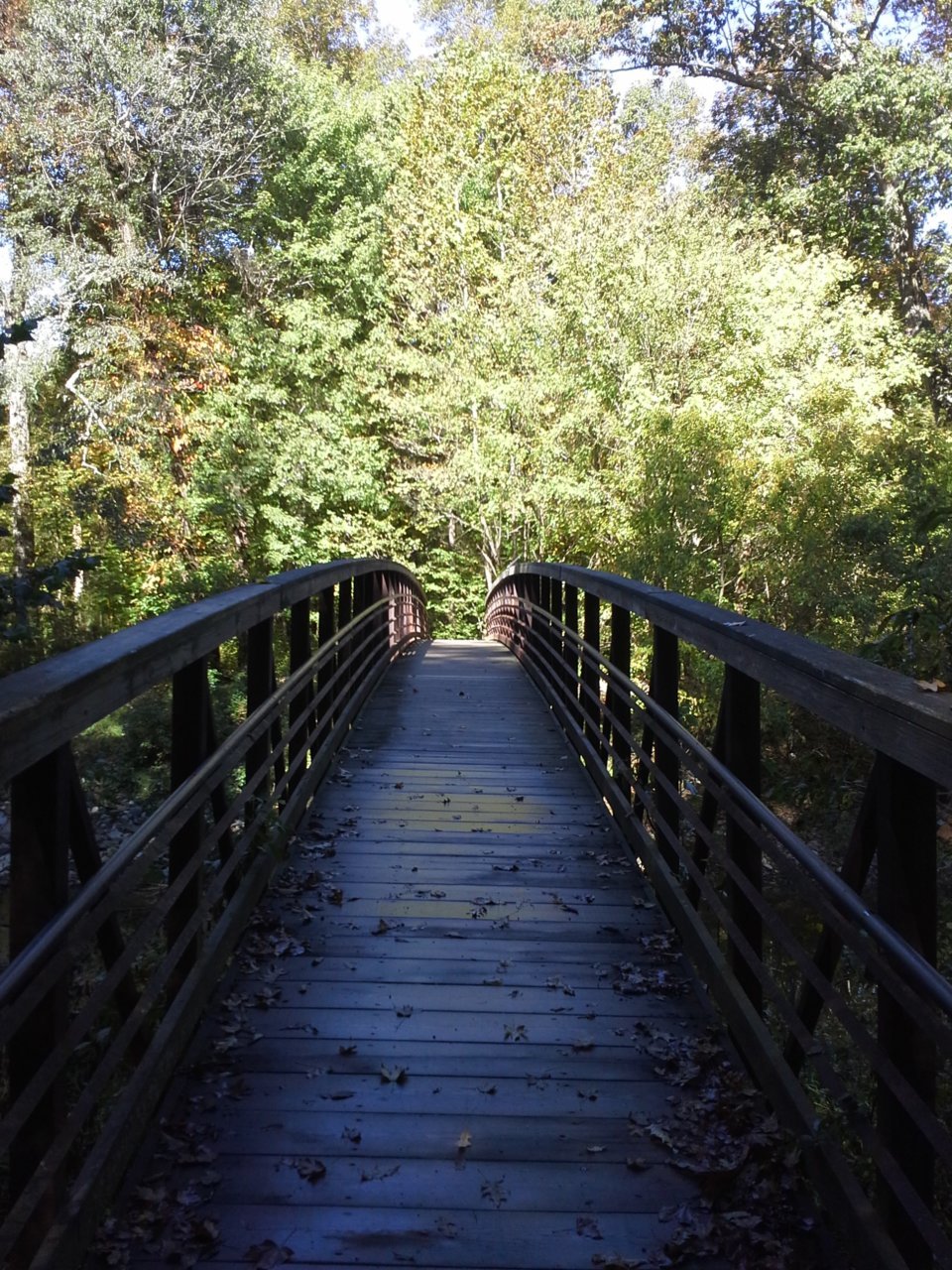 20151013_101305.jpg