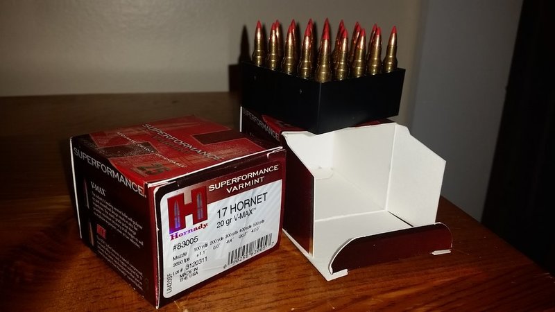 20151017_090945.jpg