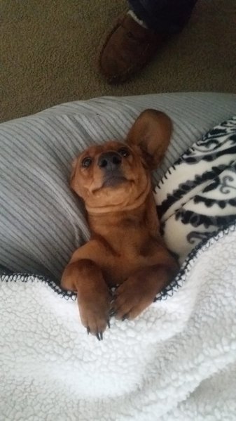 20151022_090813.jpg