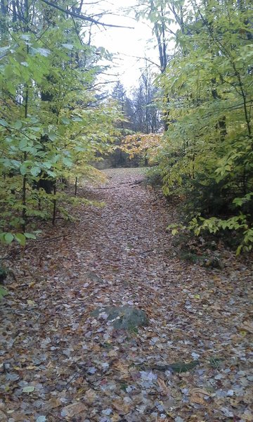 20151025_132703.jpg