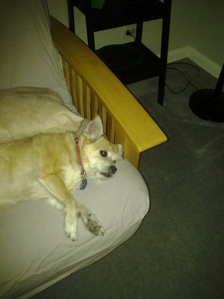 20151025_185840.jpg