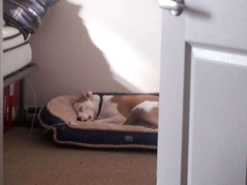20151029_164100.jpg