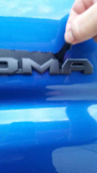 20151101_182408.jpg