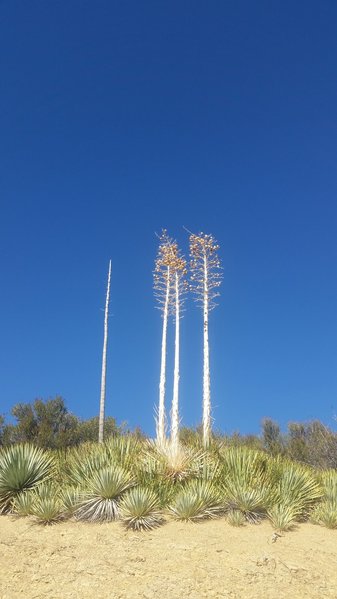 20151111_133029.jpg