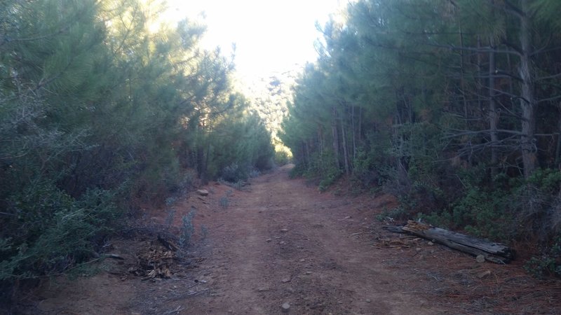 20151111_143147.jpg