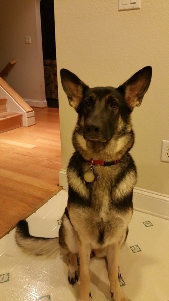20151112_193117.jpg