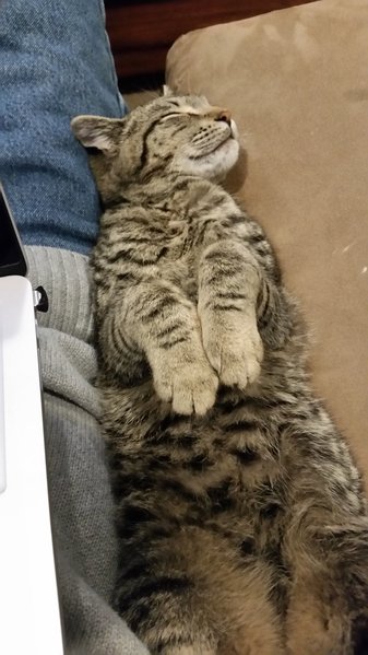 20151115_181737.jpg