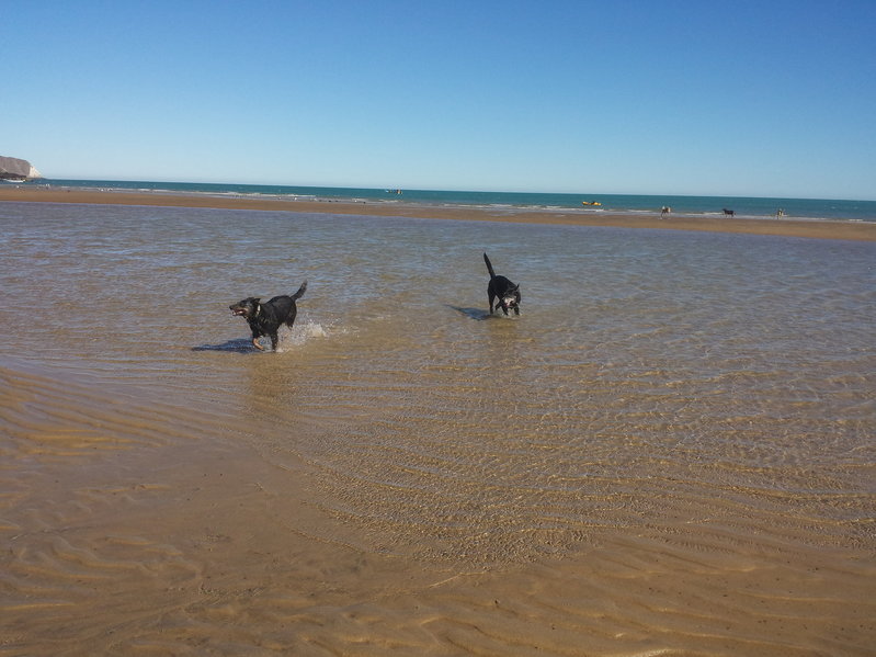 20151119_121104.jpg