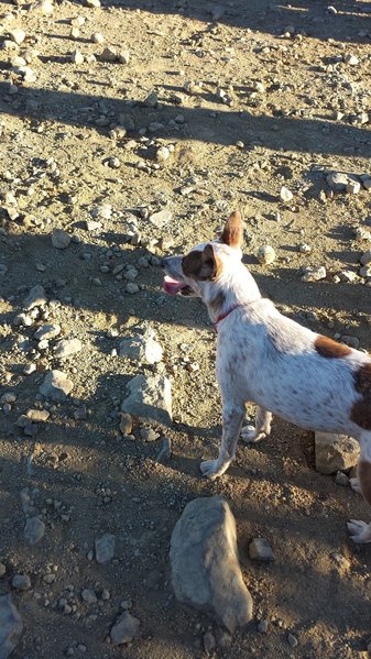 20151121_153210.jpg