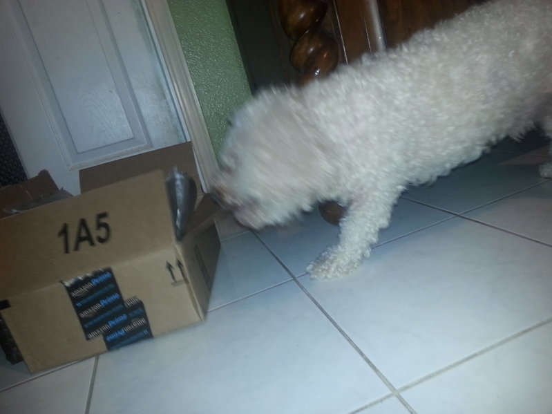 20151123_183208.jpg
