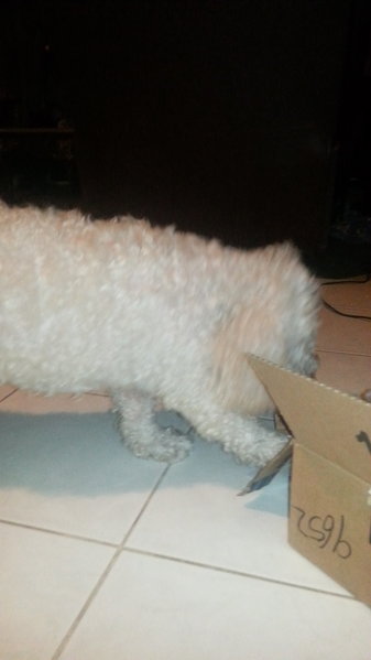 20151123_183417.jpg