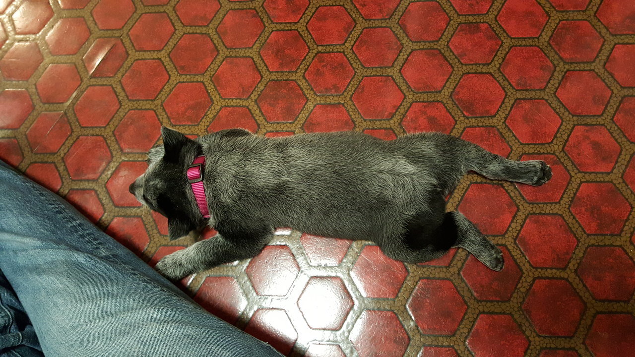20151123_185500.jpg