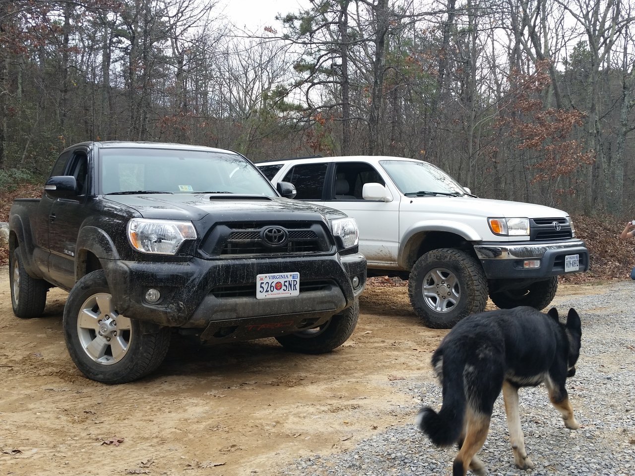 20151128_142522.jpg