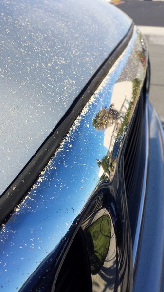 20151202_135256.jpg