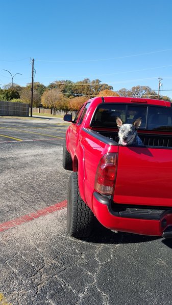 20151203_142115.jpg