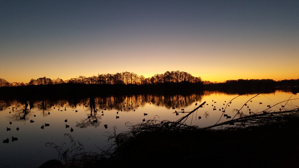 20151205_062542_b862641b512fb27c1180d0a546ee886952a0cc9b.jpg