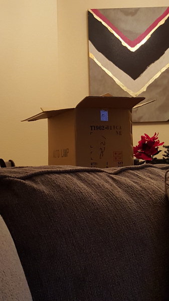 20151212_145645.jpg