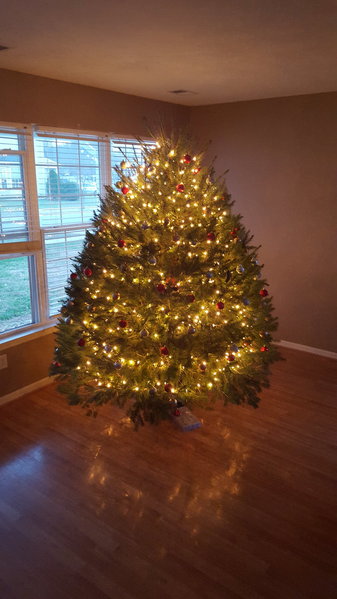 20151213_163939.jpg