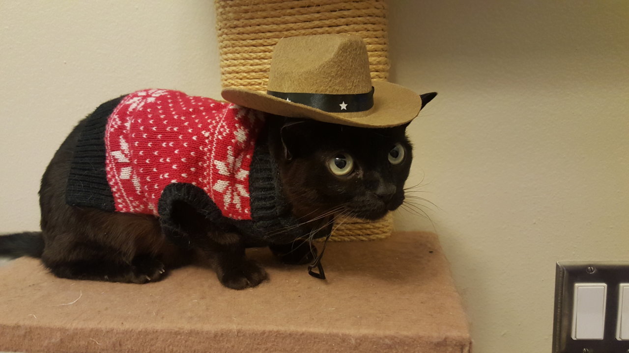 20151215_161808.jpg