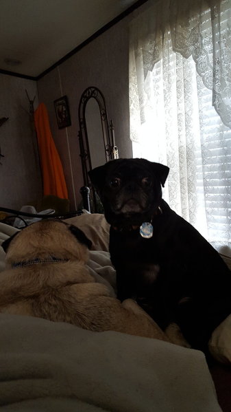 20151216_104532.jpg