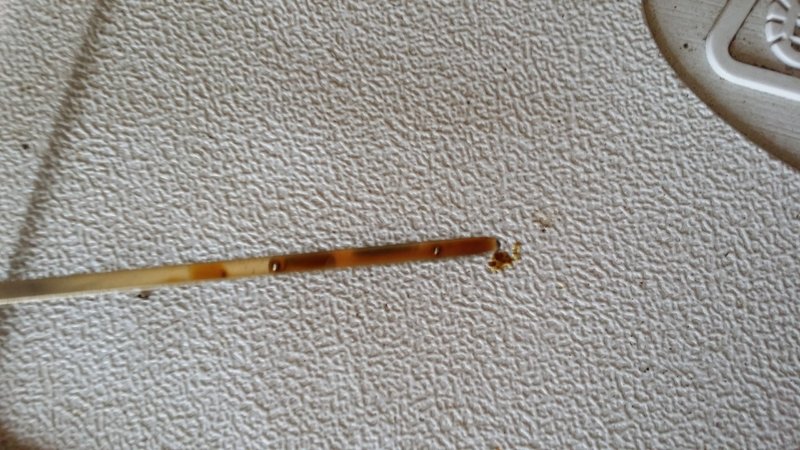 20151217_110405.jpg