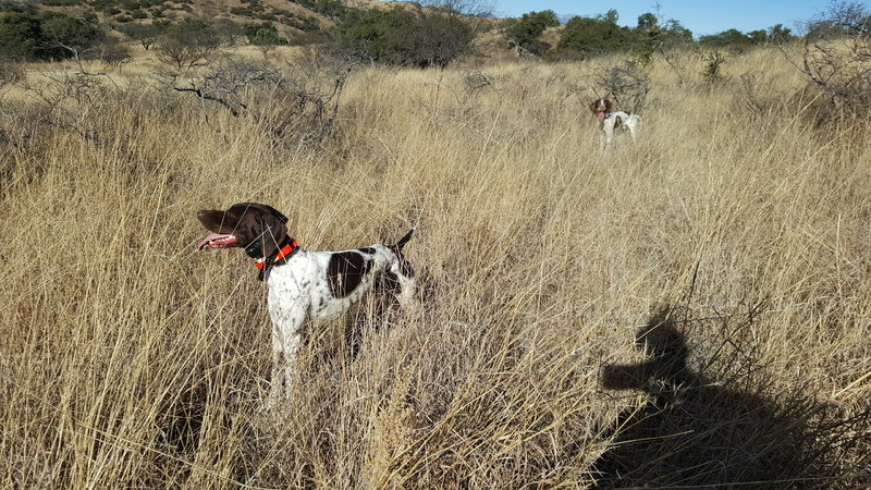 20151218_100746.jpg