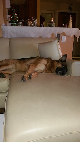 20151222_201057.jpg