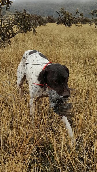 20151223_121309-1.jpg