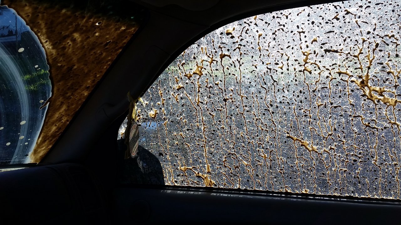 20151226_144503.jpg