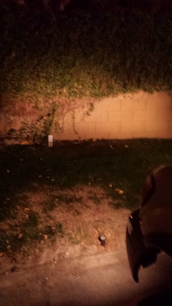 20151227_180908.jpg