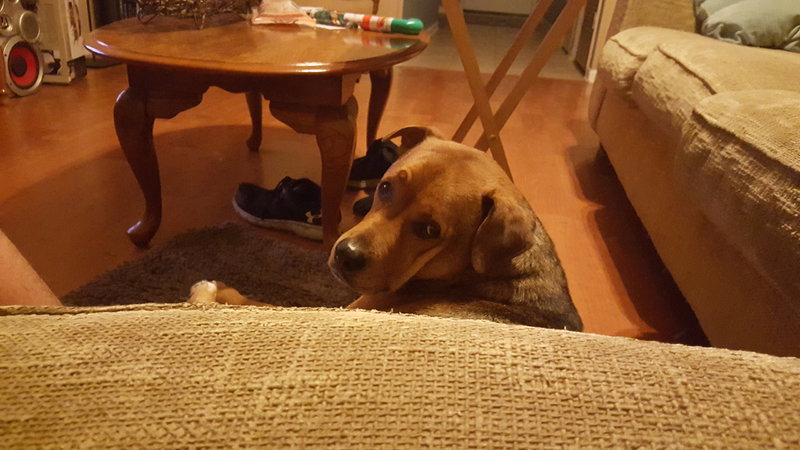20151230_174150.jpg