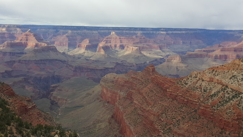 2016-03-31 15.44.56.jpg