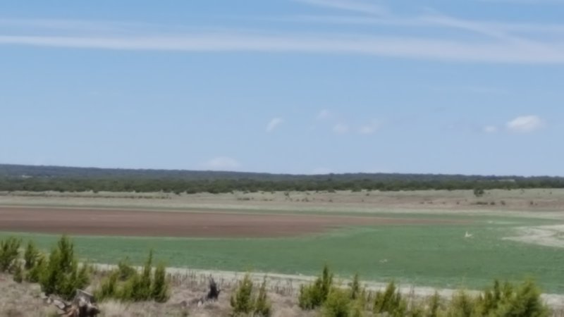 2016-05-21 11.39.11.jpg