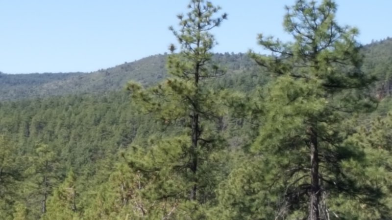 2016-05-22 08.37.23.jpg