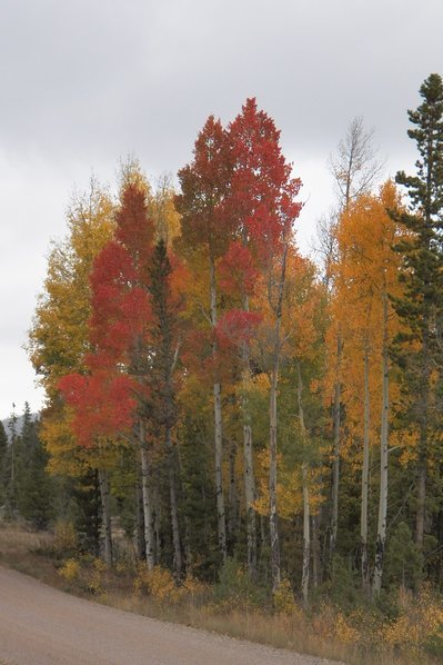 2016-09-24 009.jpg