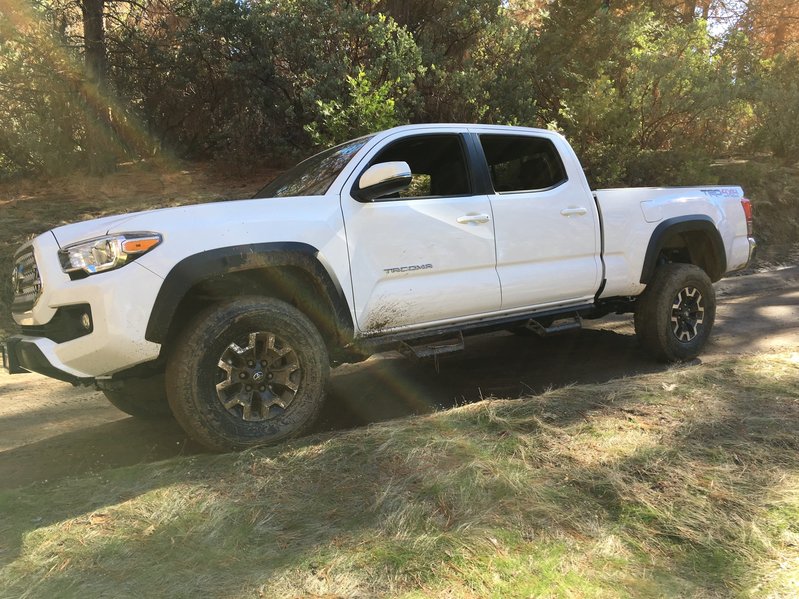 2016-11-21 Taco1.jpg