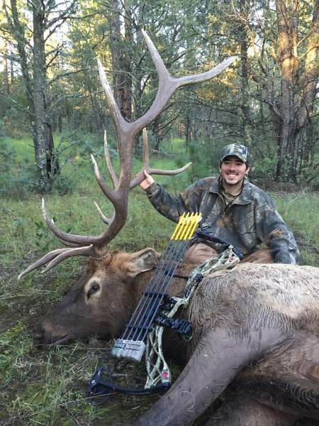 2016 New Mexico Elk.jpg