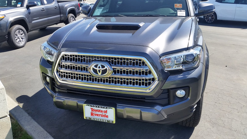 2016 Sport-F.jpg