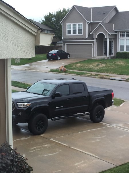 2016 taco on a Rainy Day.jpg
