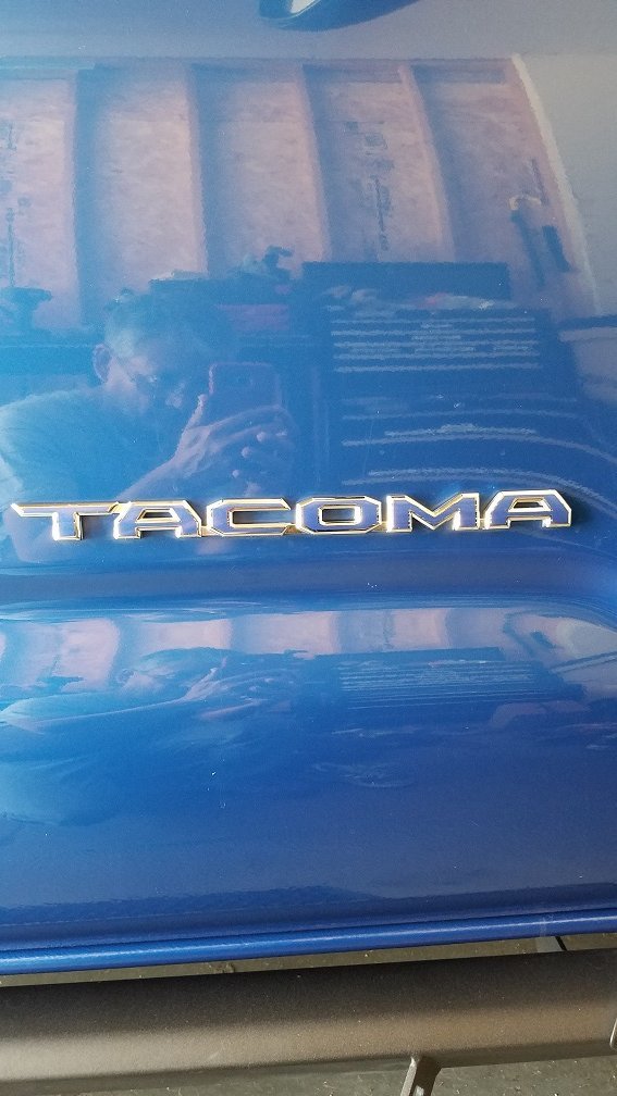 2016 Tacoma Emblems 3 cropped.jpg